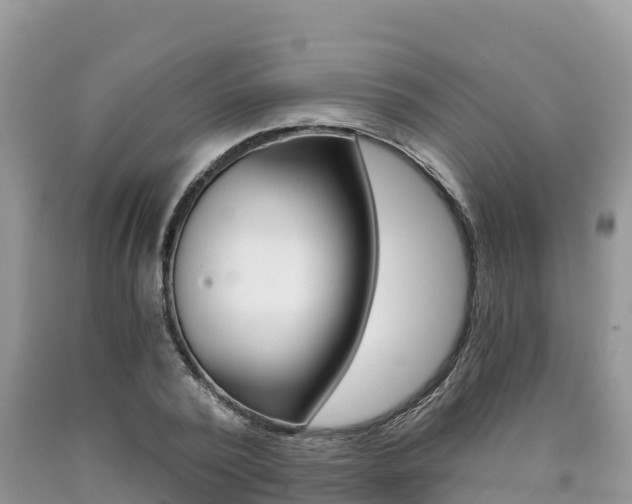 X0000090720784200707201012