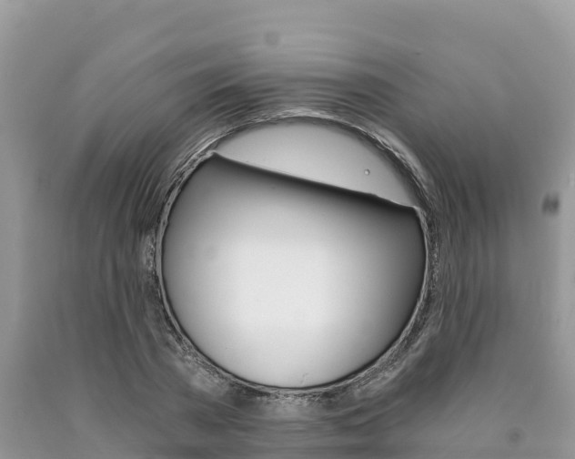 X0000090720785200707201012