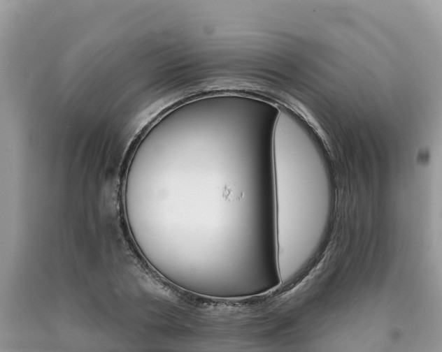 X0000090720786200707201012