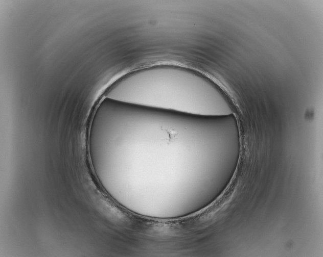 X0000090720790200707201012