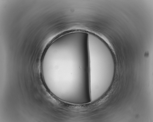 X0000090720791200707201012