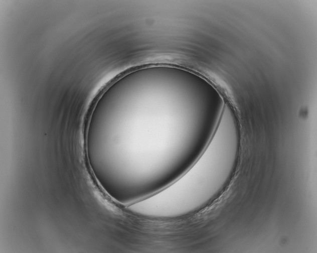 X0000090720792200707201012
