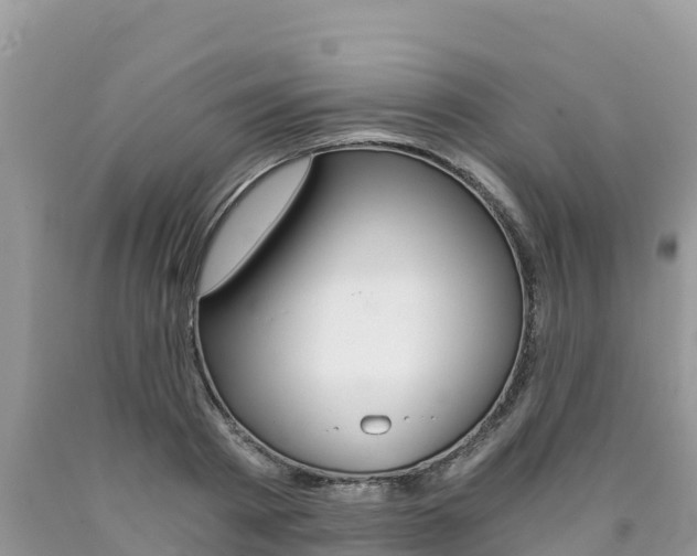 X0000090720793200707201012