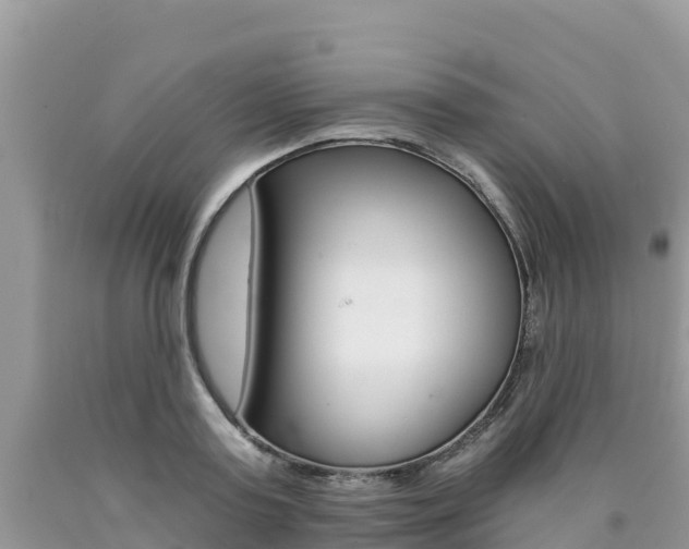 X0000090720795200707201012