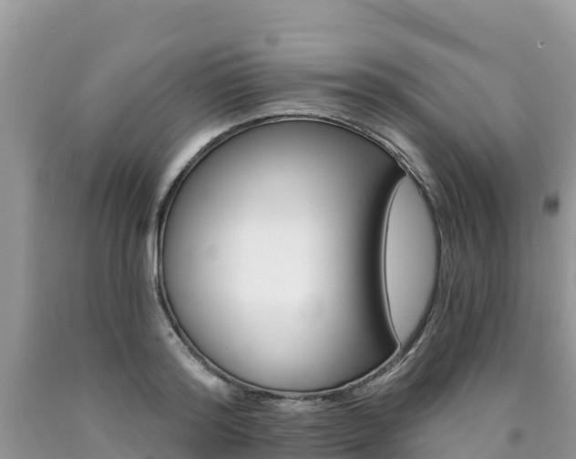 X0000090720796200707201012