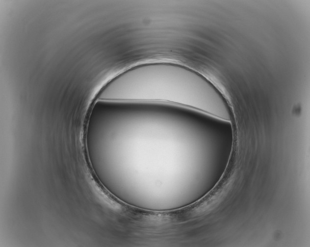 X0000090720797200707201012