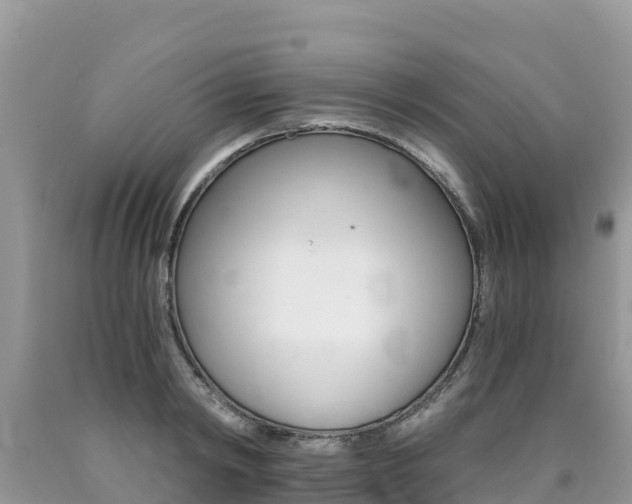 X0000090720798200707201012