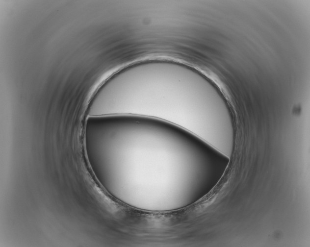 X0000090720799200707201012