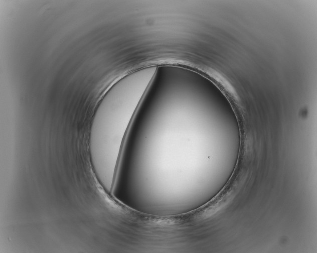 X0000090720801200707201012