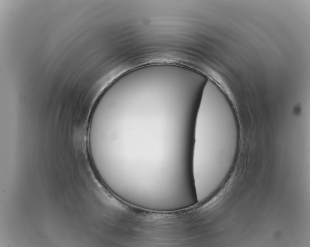 X0000090720802200707201012