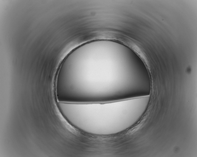 X0000090720803200707201012