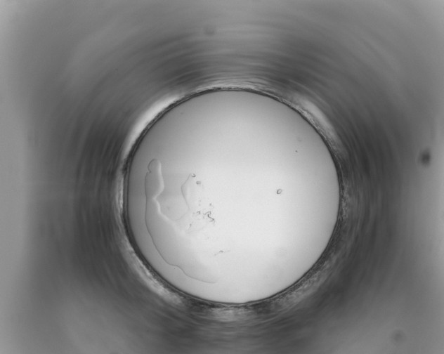 X0000090720804200707201012
