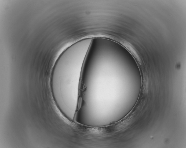 X0000090720805200707201012