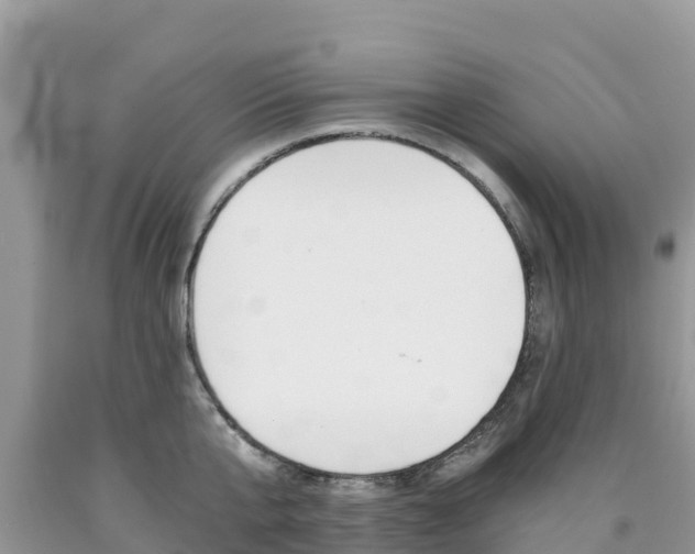 X0000090720807200707201012