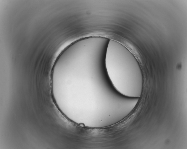 X0000090720808200707201012