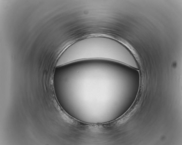 X0000090720809200707201012