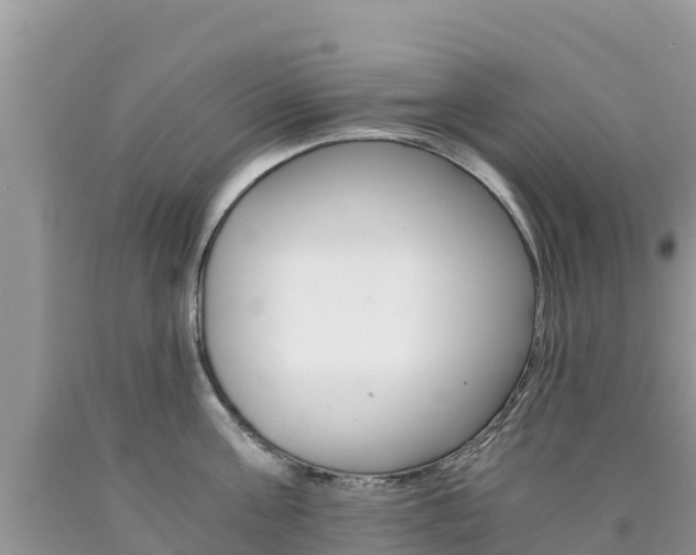 X0000090720811200707201012