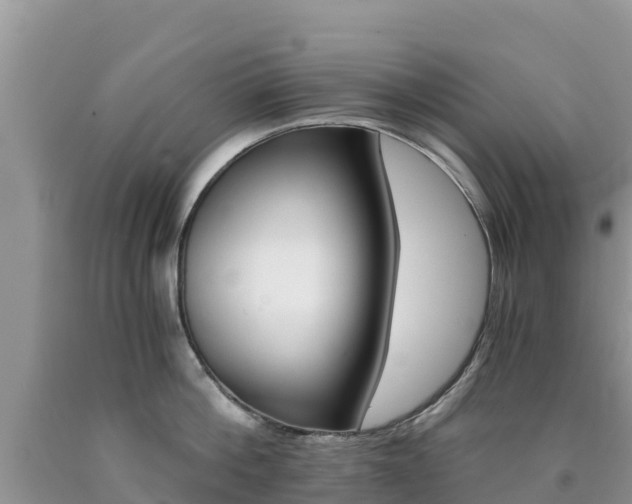 X0000090720812200707201012