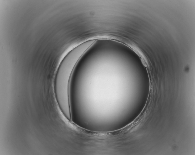 X0000090720813200707201012