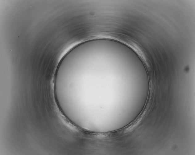 X0000090720814200707201012