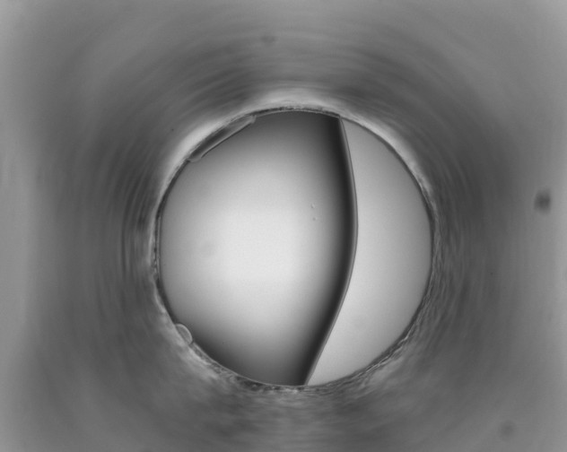 X0000090720815200707201012
