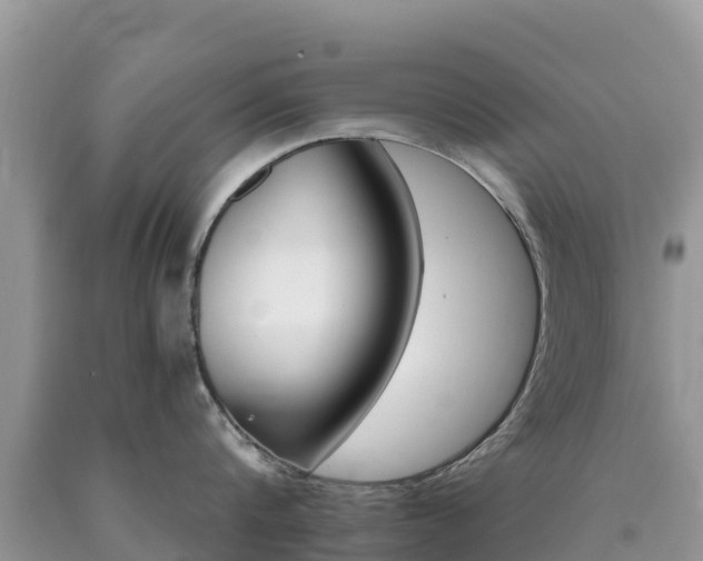 X0000090720816200707201012