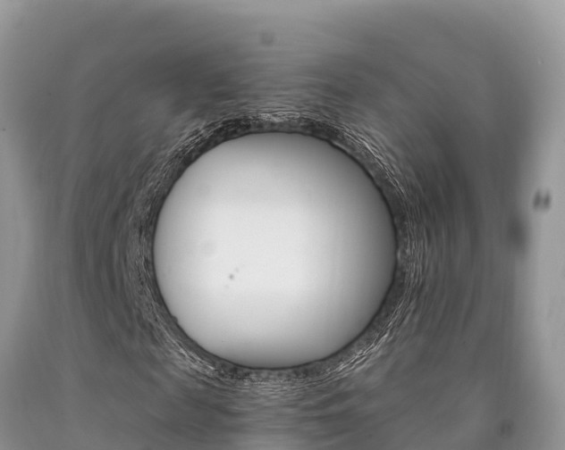 X0000090720817200707201011