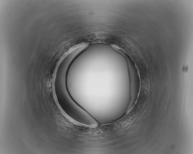 X0000090720818200707201011