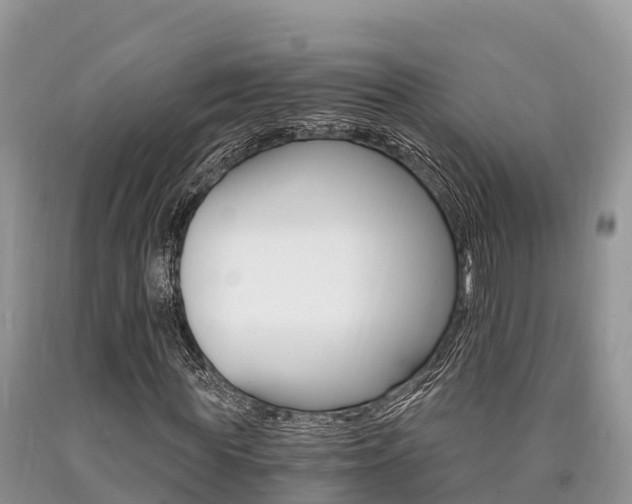 X0000090720819200707201011