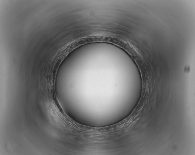 X0000090720821200707201011