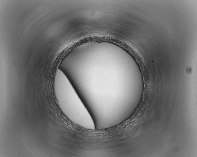 X0000090720823200707201011