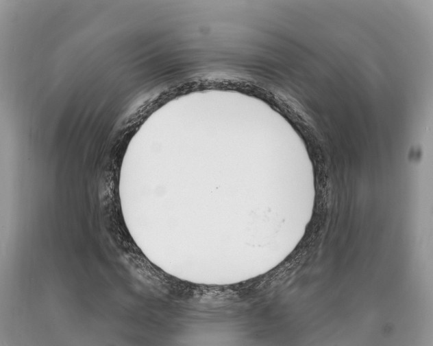 X0000090720824200707201011