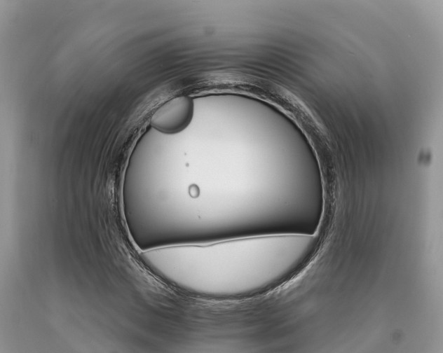 X0000090720825200707201011