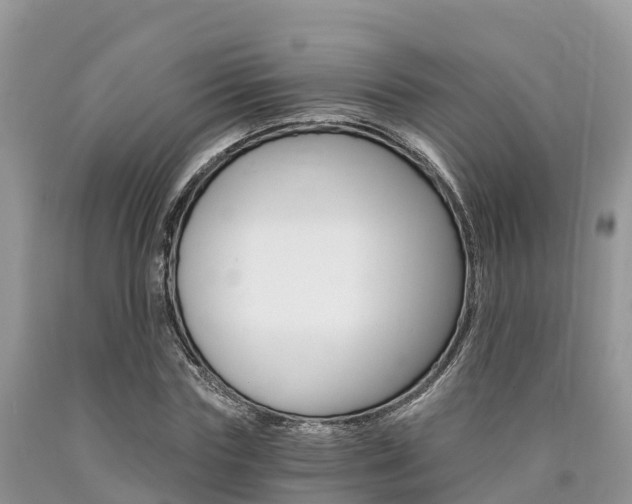 X0000090720827200707201011