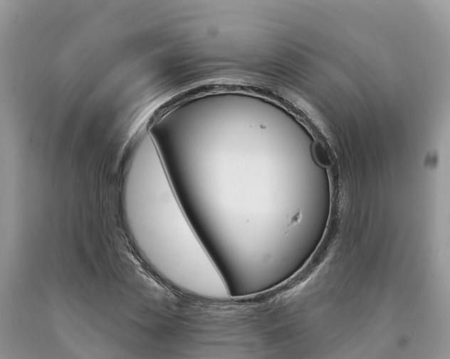 X0000090720829200707201012