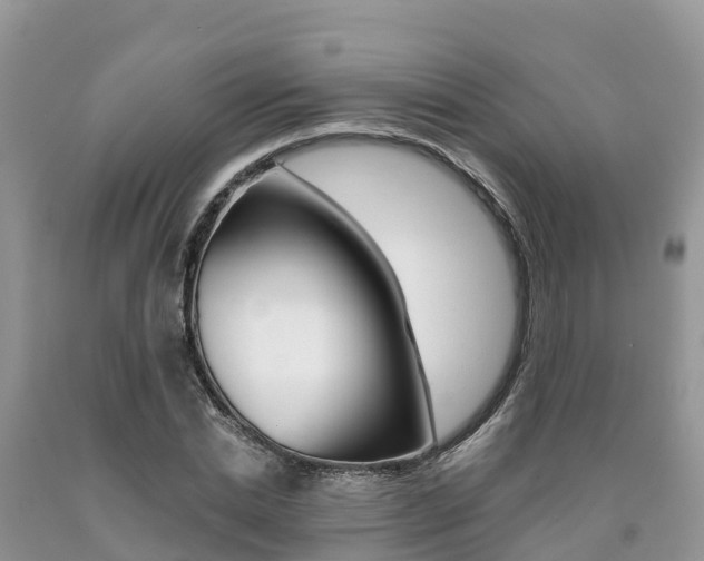 X0000090720830200707201012