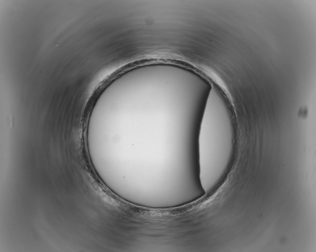 X0000090720831200707201012