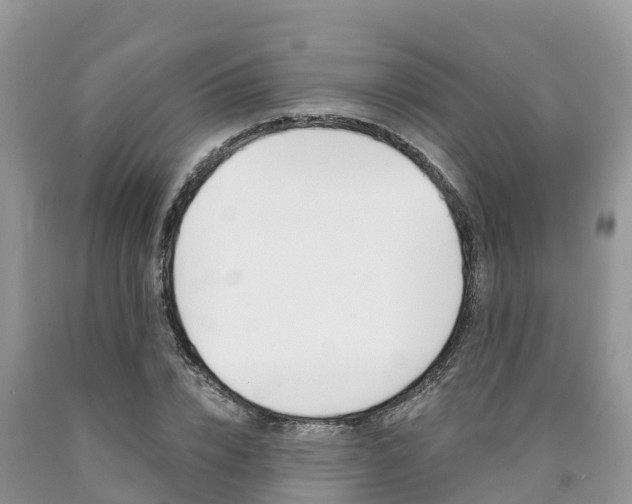 X0000090720832200707201012