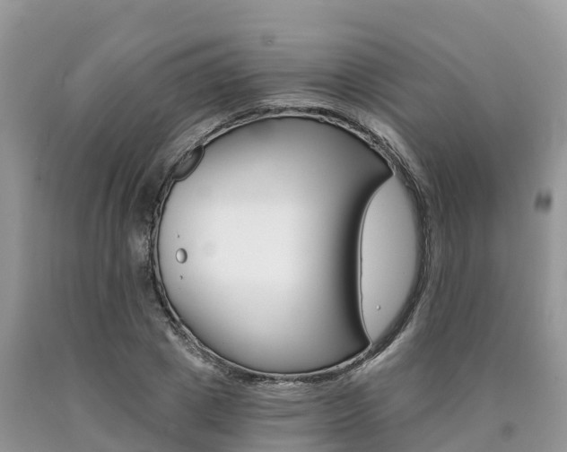 X0000090720833200707201012