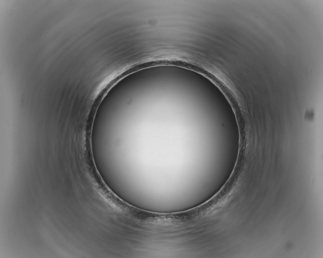 X0000090720834200707201012