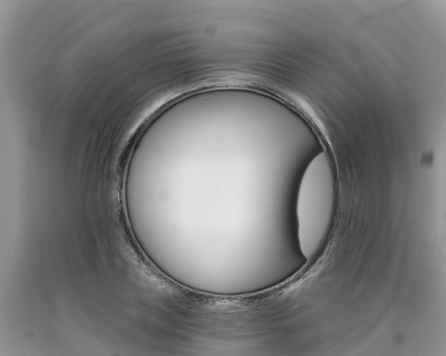 X0000090720835200707201012