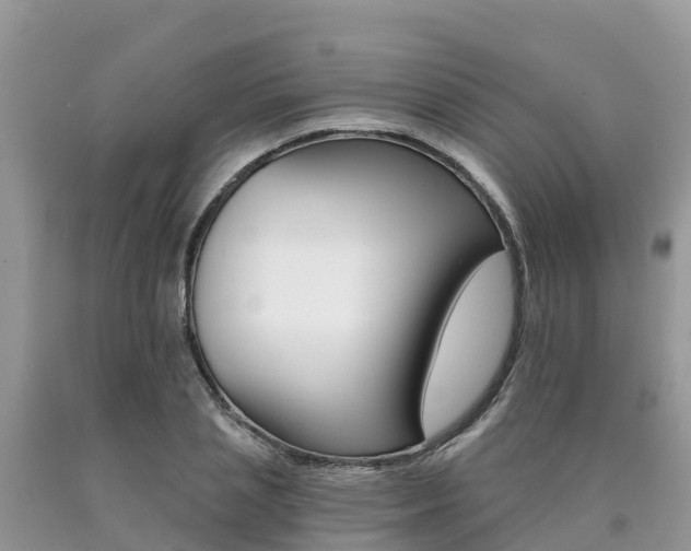 X0000090720837200707201012