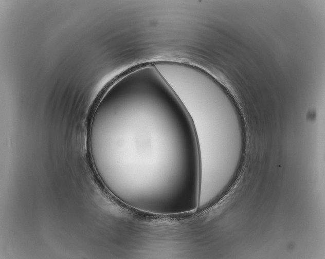 X0000090720838200707201012