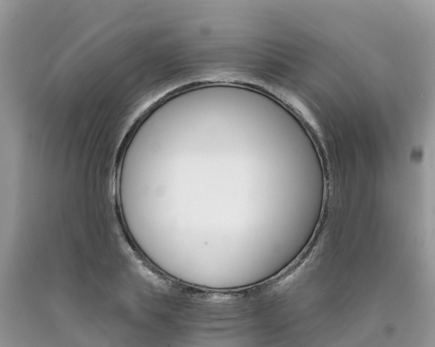 X0000090720839200707201012