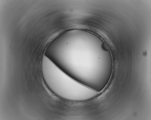 X0000090720841200707201012
