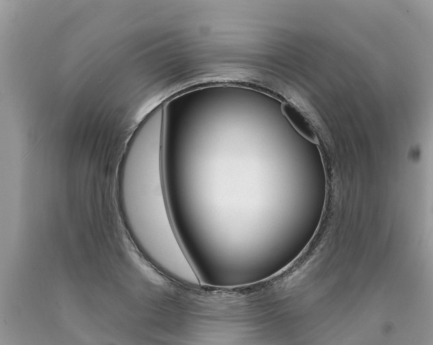 X0000090720842200707201012