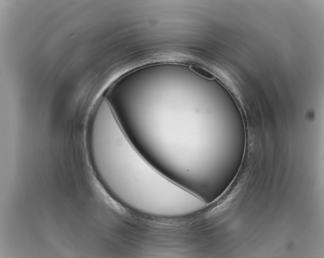 X0000090720843200707201012