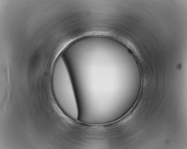 X0000090720844200707201012
