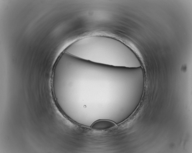 X0000090720847200707201012