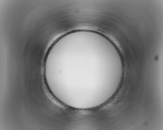X0000090720848200707201012